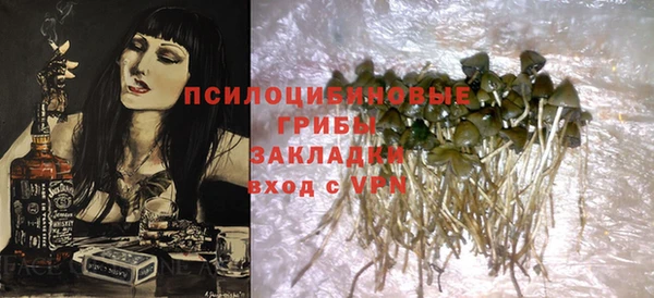 тгк Алексин