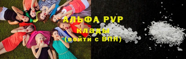 тгк Алексин