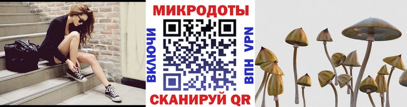 где продают   Югорск  Псилоцибиновые грибы мицелий 