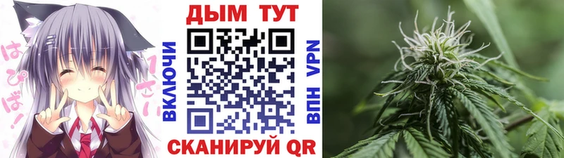 Бошки марихуана гибрид  Югорск 